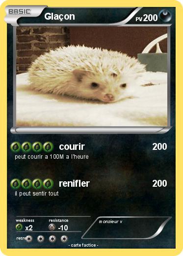 Pokemon Glaçon