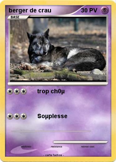 Pokemon berger de crau