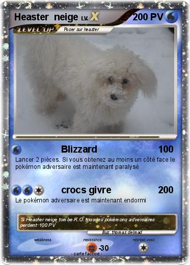 Pokemon Heaster  neige