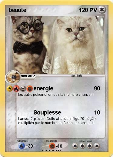 Pokemon beaute