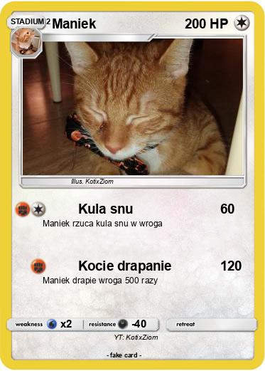 Pokemon Maniek