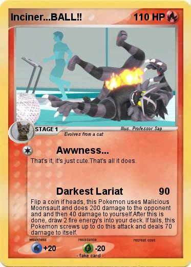 Pokemon Inciner...BALL!!