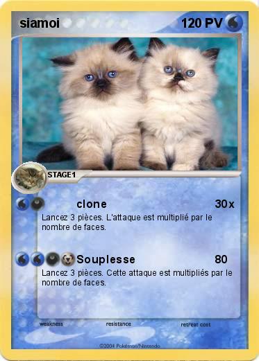 Pokemon siamoi