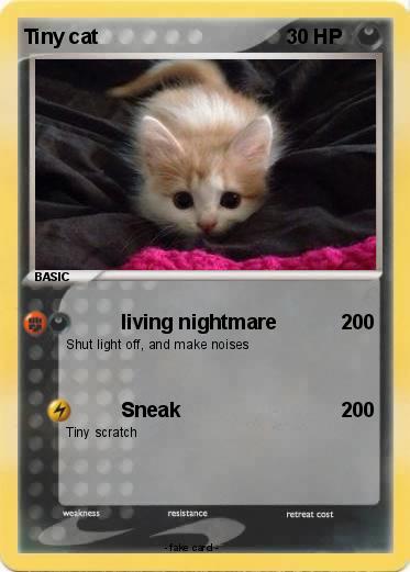 Pokemon Tiny cat