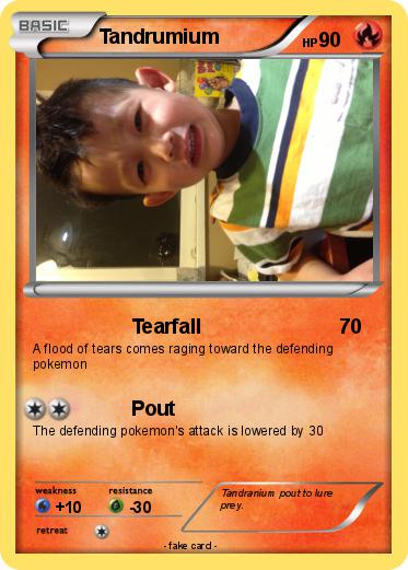 Pokemon Tandrumium