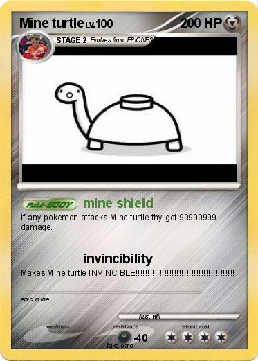 Pokemon Mine turtle