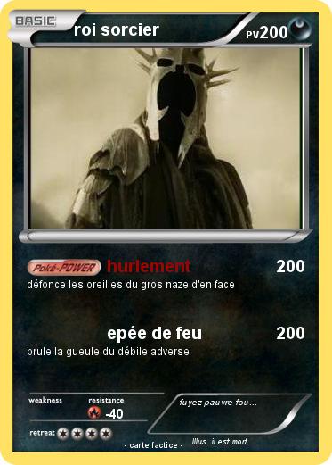 Pokemon roi sorcier