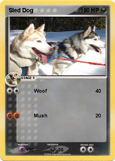 Pokemon Sled Dog