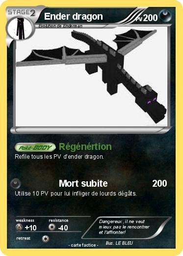 Pokemon Ender dragon