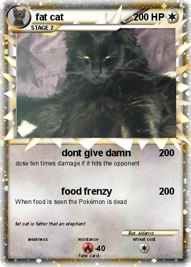 Pokemon fat cat