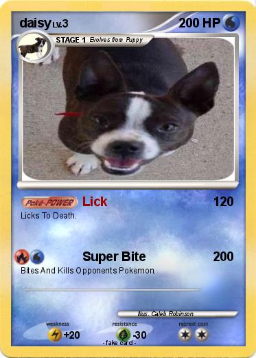 Pokemon daisy
