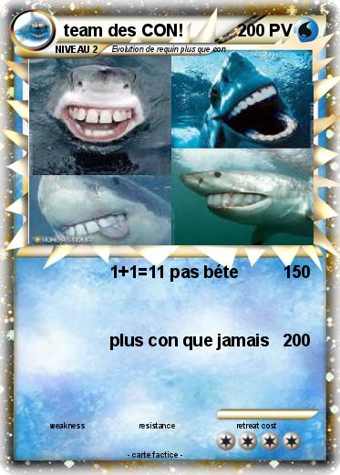 Pokemon team des CON!