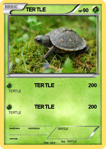 Pokemon TERTLE