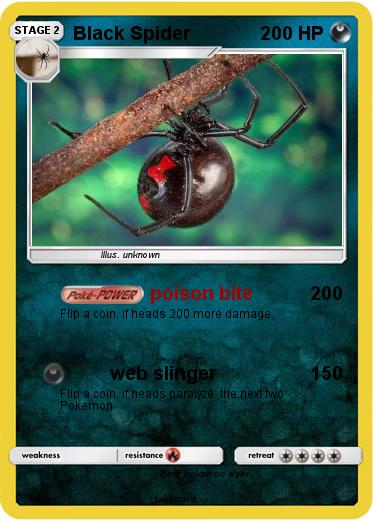 Pokemon Black Spider