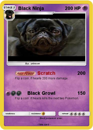 Pokemon Black Ninja