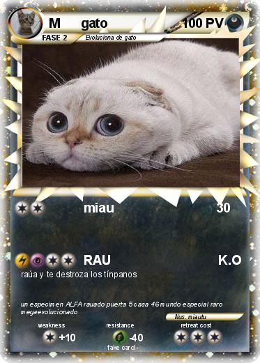 Pokemon M      gato