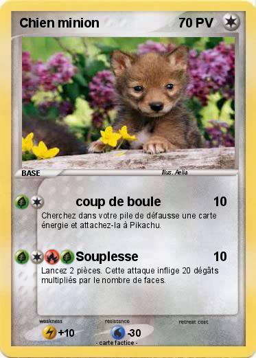 Pokemon Chien minion