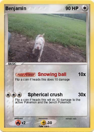 Pokemon Benjamin