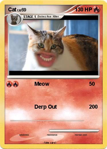 Pokemon Cat