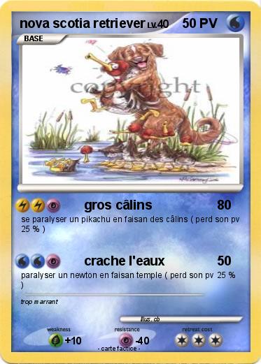 Pokemon nova scotia retriever