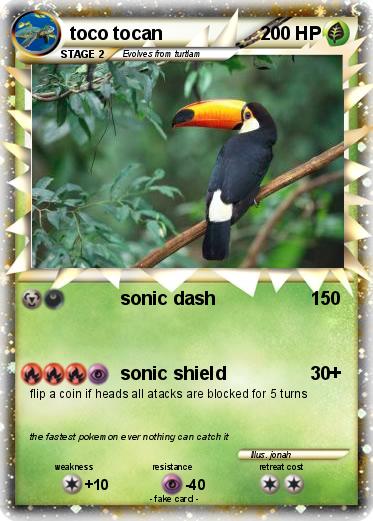 Pokemon toco tocan