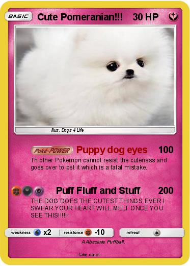 Pokemon Cute Pomeranian!!!