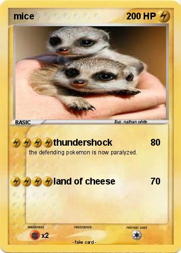 Pokemon mice