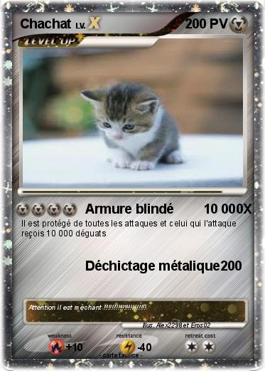 Pokemon Chachat
