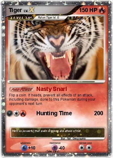 Pokemon Tiger