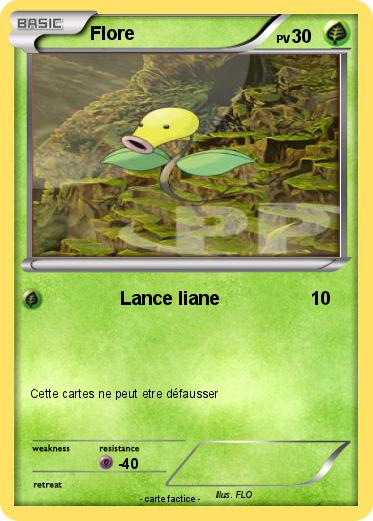 Pokemon Flore