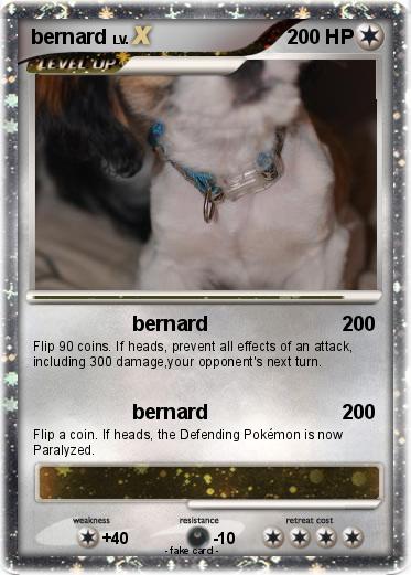 Pokemon bernard