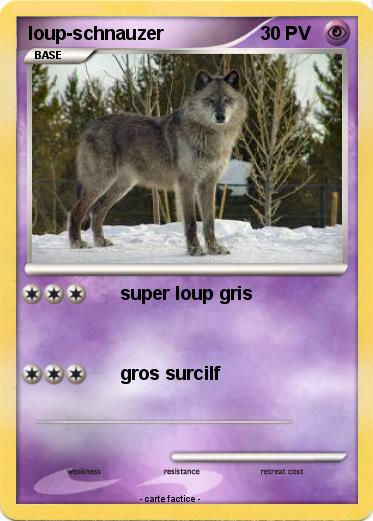 Pokemon loup-schnauzer