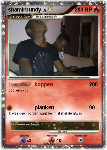 Pokemon shamirbundy