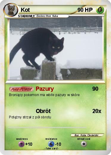 Pokemon Kot