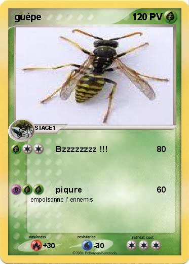 Pokemon guèpe