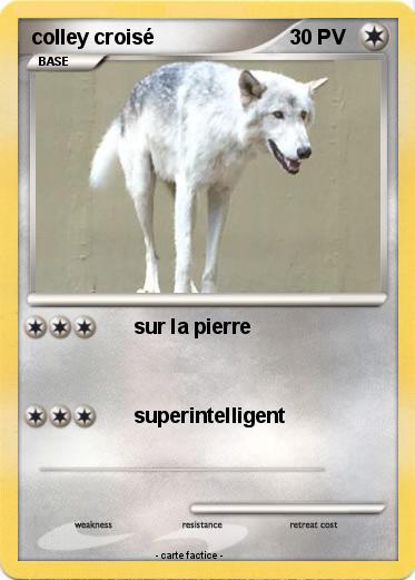 Pokemon colley croisé