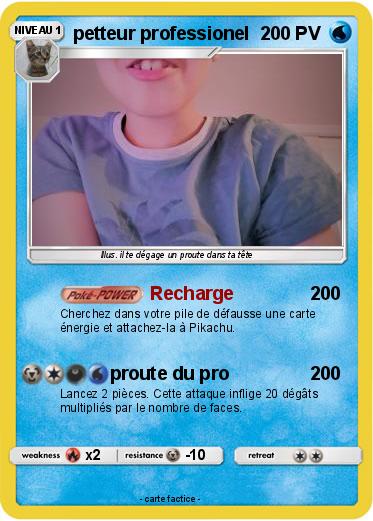Pokemon petteur professionel