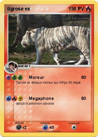 Pokemon tigrose ex