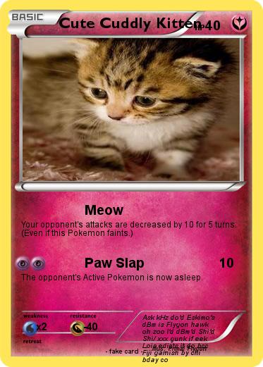 Pokemon Cute Cuddly Kitten