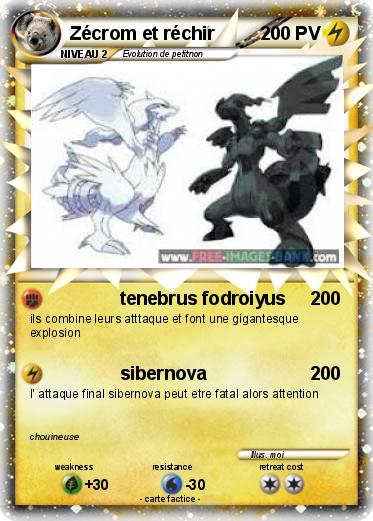 Pokemon Zécrom et réchir