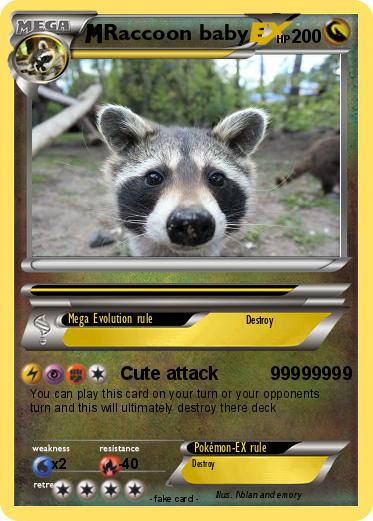 Pokemon Raccoon baby