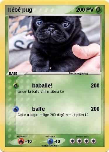 Pokemon bébé pug