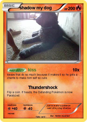 Pokemon shadow my dog