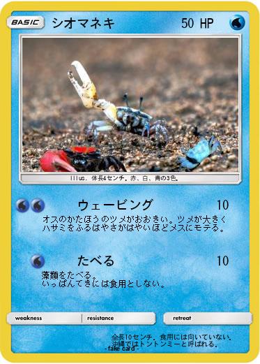 Pokemon シオマネキ