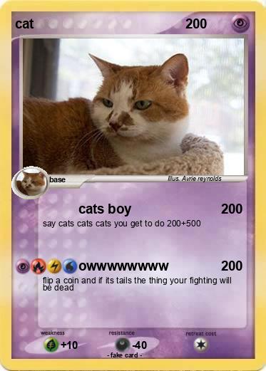 Pokemon cat