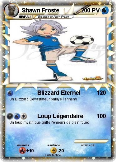 Pokemon Shawn Froste