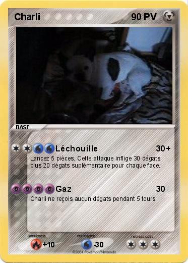 Pokemon Charli
