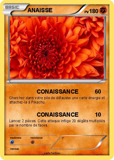 Pokemon ANAISSE