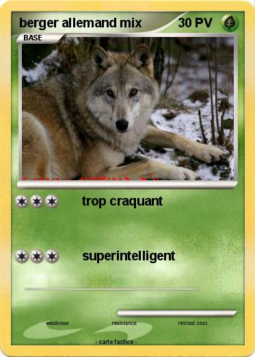 Pokemon berger allemand mix