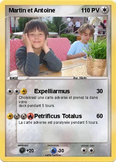 Pokemon Martin et Antoine
